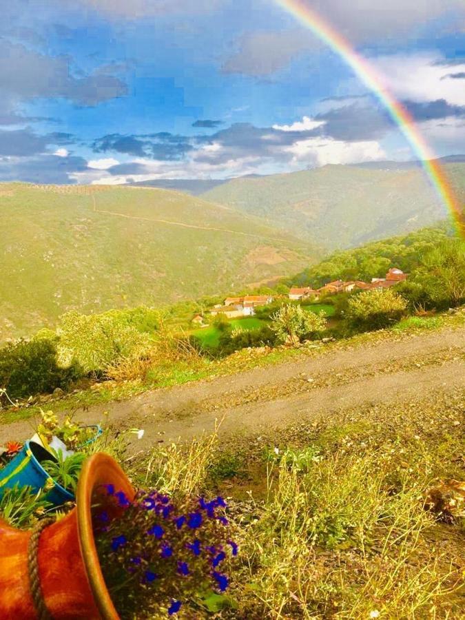 Mosteirinho Hébergement de vacances Negreda